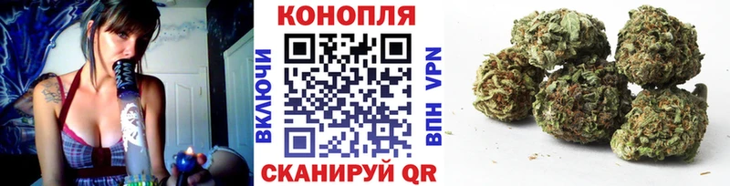 Шишки марихуана ГИДРОПОН  что такое   Горбатов 